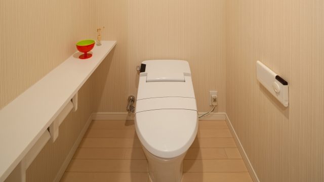 トイレの水の流れが悪い 便器からあふれそうになる原因と修理 茨城水道修理サービス 水道工事業者